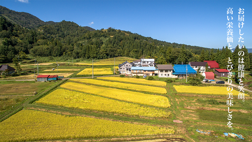 フェイスファームでは健康と笑顔、高い栄養価と、とびきりの美味しさをお届けしたい。