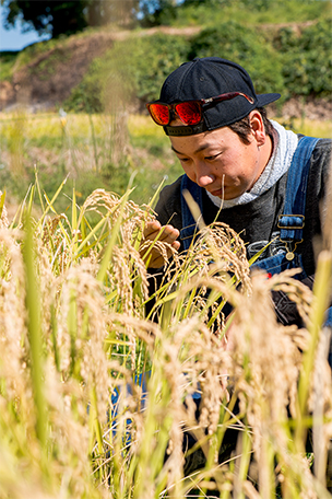 フェイスファーム ピロール農法 水野尚哉