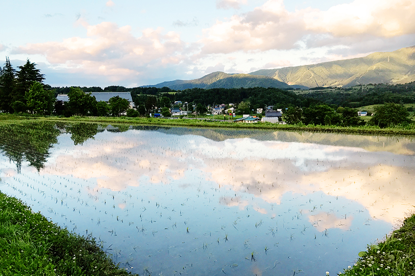 フェイスファーム自然画像5