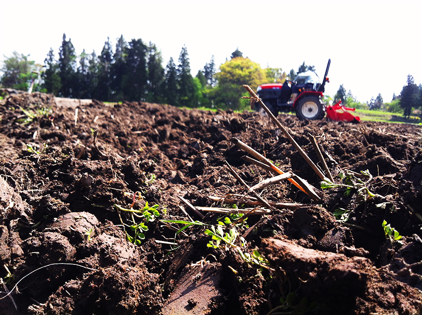 お米の美味しい炊き方を写真と動画でご紹介